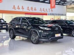 
										Toyota Wildlander, 2023 full									
