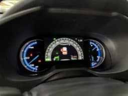 
										Toyota RAV4 (IV), 2023 full									
