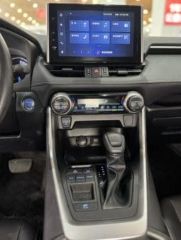
										Toyota RAV4 (IV), 2023 full									