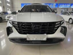 
										Hyundai Tucson (III), 2022 full									