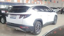 
										Hyundai Tucson (III), 2022 full									