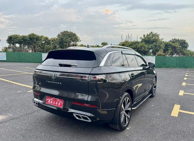 
								Volkswagen Tavendor, 2022 full									