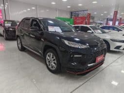 
										Toyota Wildlander, 2021 full									