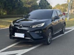 67d35b824c497 Toyota Wildlander, 2024