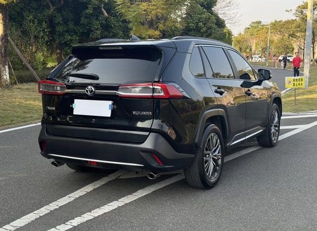 
								Toyota Wildlander, 2024 full									