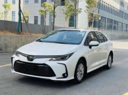 Toyota Corolla (XII), 2020