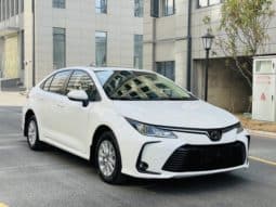 
										Toyota Corolla (XII), 2020 full									