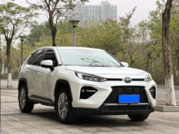 
										Toyota Wildlander, 2021 full									