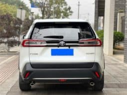 
										Toyota Wildlander, 2021 full									