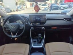 
										Toyota RAV4 (IV), 2023 full									