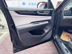 
										Volkswagen Teramont, 2024 full									