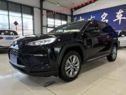 Toyota Wildlander, 2023