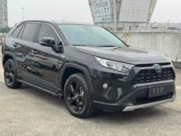 
										Toyota RAV4 (IV), 2023 full									