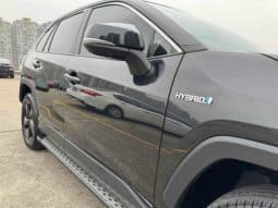 
										Toyota RAV4 (IV), 2023 full									