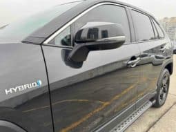 
										Toyota RAV4 (IV), 2023 full									