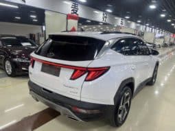 
										Hyundai Tucson (III), 2022 full									