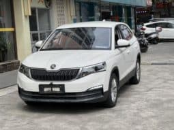Skoda Kamiq, 2020