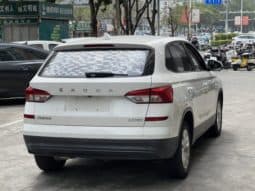 
										Skoda Kamiq, 2020 full									