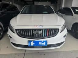 
										Geely Borui, 2020 full									