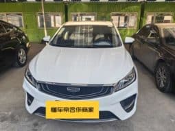 
										Geely Binrui, 2020 full									