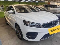 
										Geely Binrui, 2020 full									