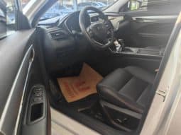 
										Geely Binrui, 2020 full									