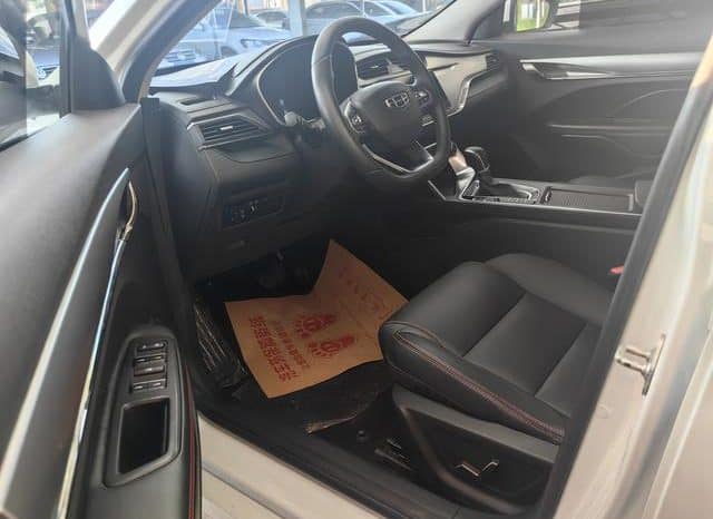 
								Geely Binrui, 2020 full									