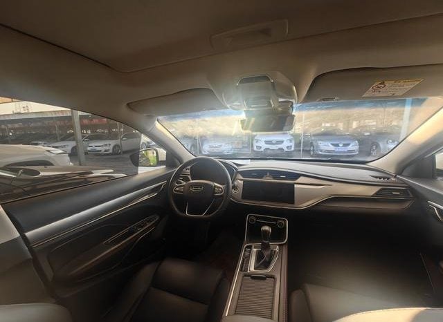
								Geely Binrui, 2020 full									