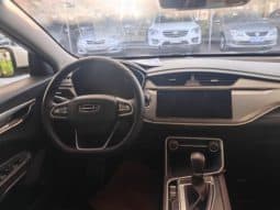 
										Geely Binrui, 2020 full									