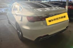 
										Geely Binrui, 2020 full									