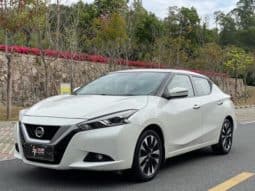 67d7f39a8e90b Nissan Lannia, 2020