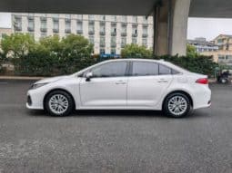 
										Toyota Corolla(XI), 2021 full									