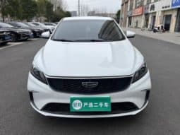 
										Geely Binrui, 2021 full									
