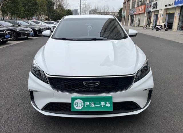 
								Geely Binrui, 2021 full									