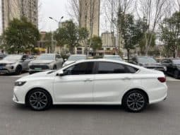 
										Geely Binrui, 2021 full									