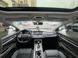
										Geely Binrui, 2021 full									