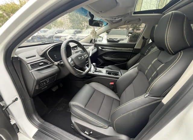 
								Geely Binrui, 2021 full									