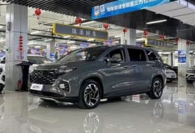 Hyundai Custo, 2021