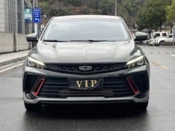 
										Geely Binrui, 2023 full									