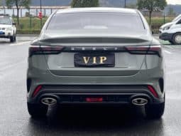 
										Geely Binrui, 2023 full									