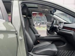 
										Geely Binrui, 2023 full									