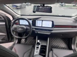 
										Geely Binrui, 2023 full									