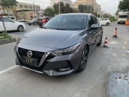 67d8097999070 Nissan Sylphy (IV), 2020