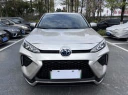 
										Toyota Wildlander, 2022 full									