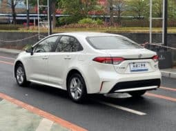 
										Toyota Levin, 2020 full									