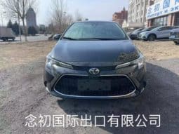 
										Toyota Levin, 2021 full									