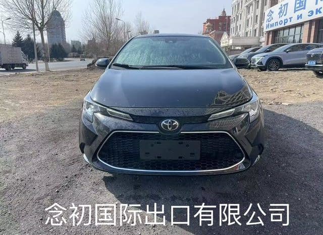 
								Toyota Levin, 2021 full									