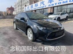 
										Toyota Levin, 2021 full									