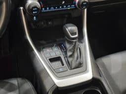 
										Toyota Wildlander, 2022 full									