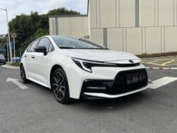 
										Toyota Levin, 2024 full									